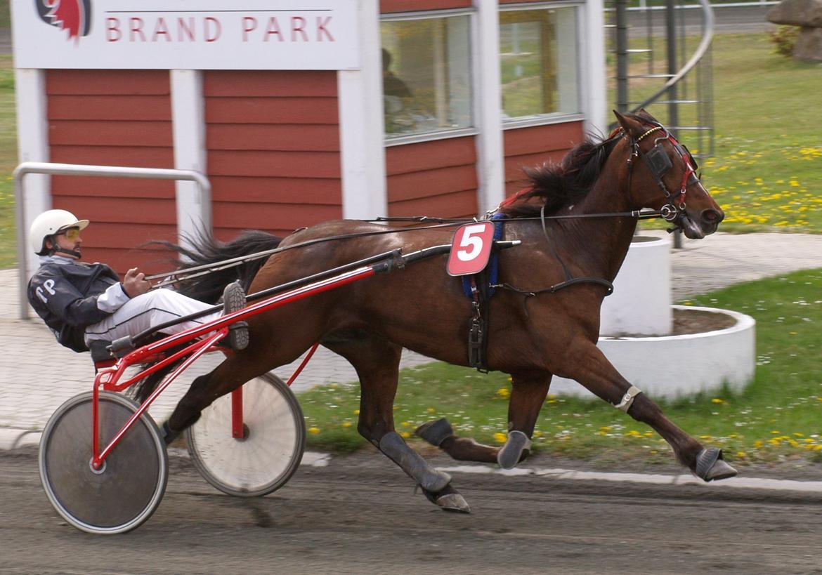 Traver Junior billede 2