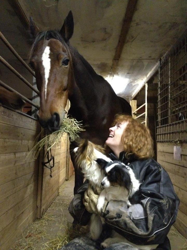 Traver Junior billede 4