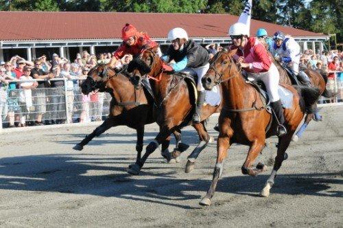 Traver Junior billede 6