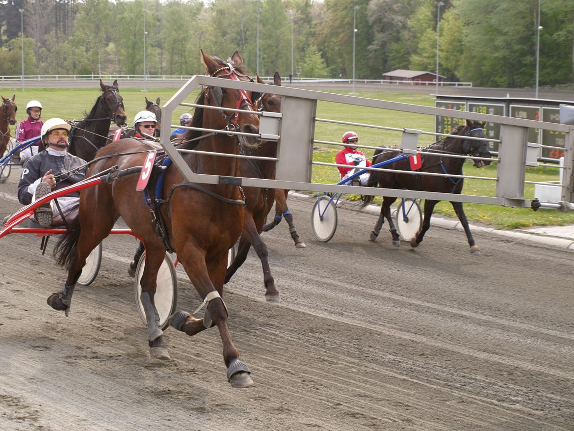 Traver Junior billede 8