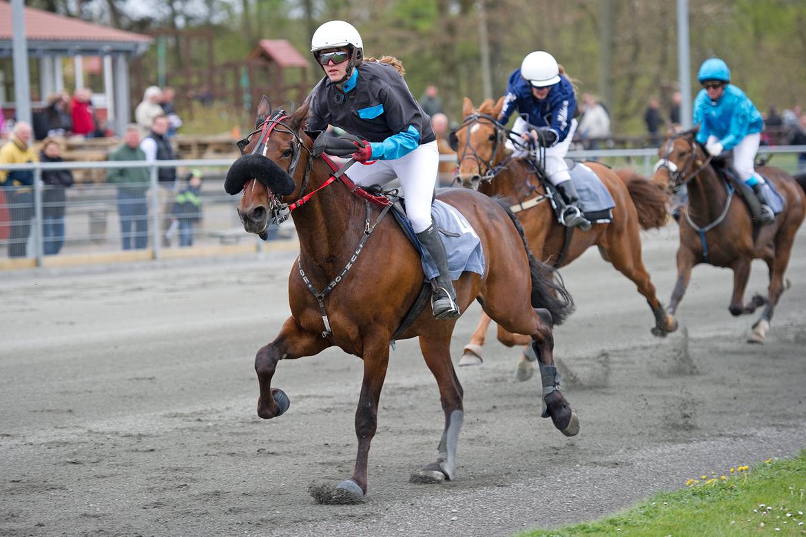 Traver Junior billede 9