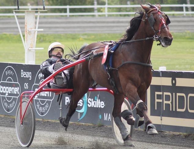 Traver Junior billede 10