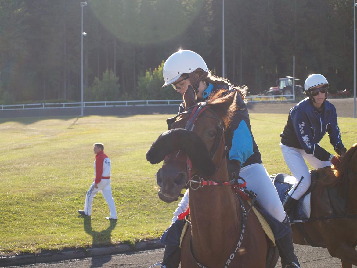 Traver Junior billede 11