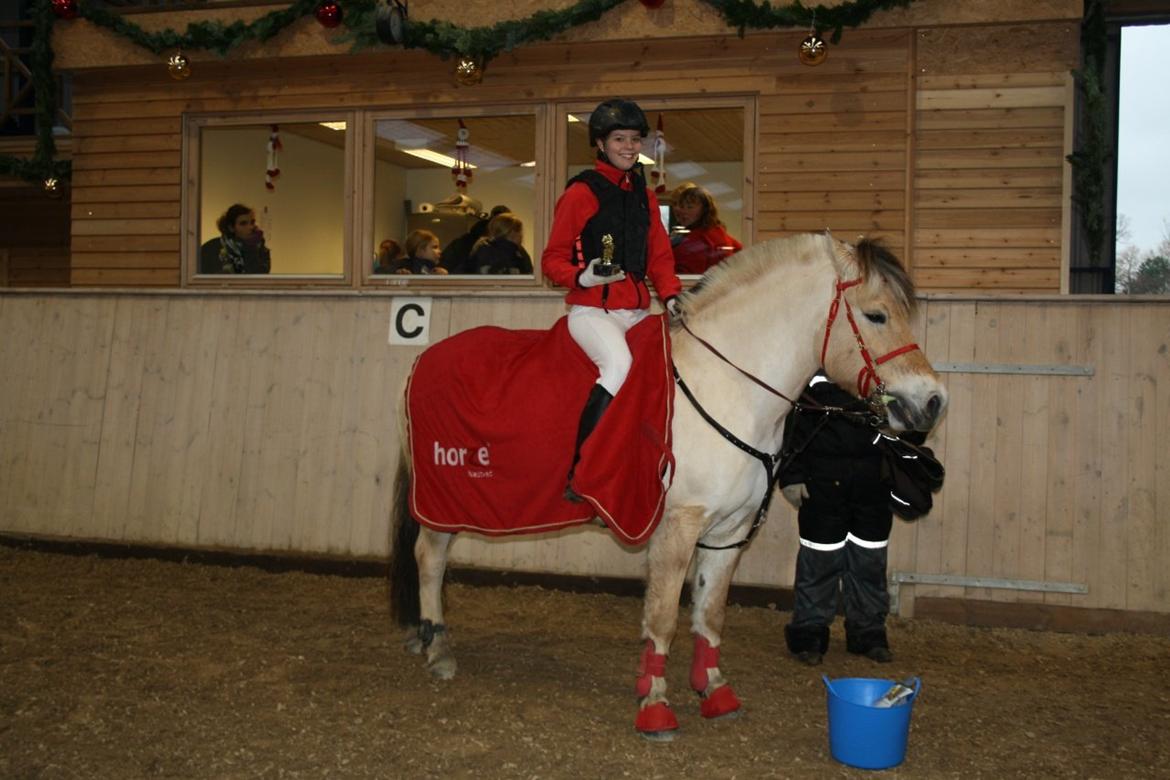 Fjordhest Fønix Elsa - Mig og Elsa cupvinder MLR. billede 6
