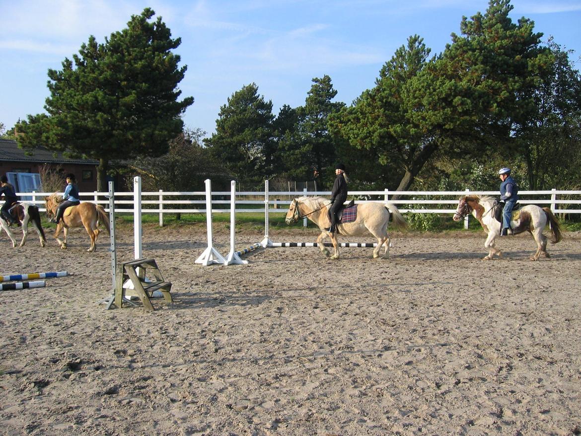 Anden særlig race Pippi billede 9