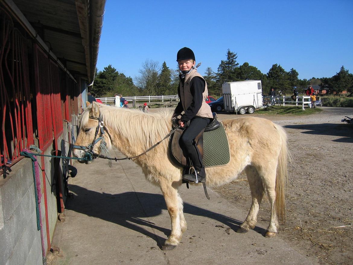 Anden særlig race Pippi billede 13