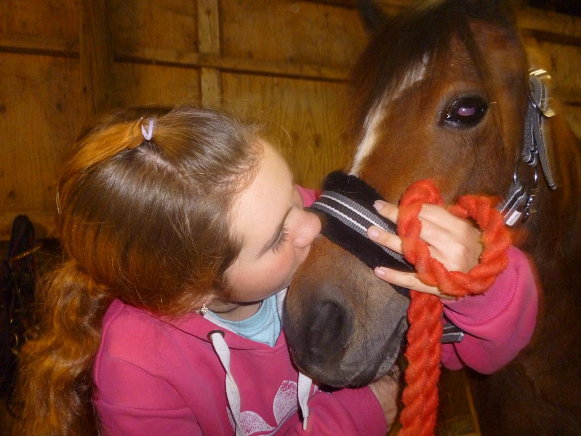 Welsh Mountain (sec A) Freja *Aflivet :'( I miss you* - Elsker dig! :-* <33333 billede 18
