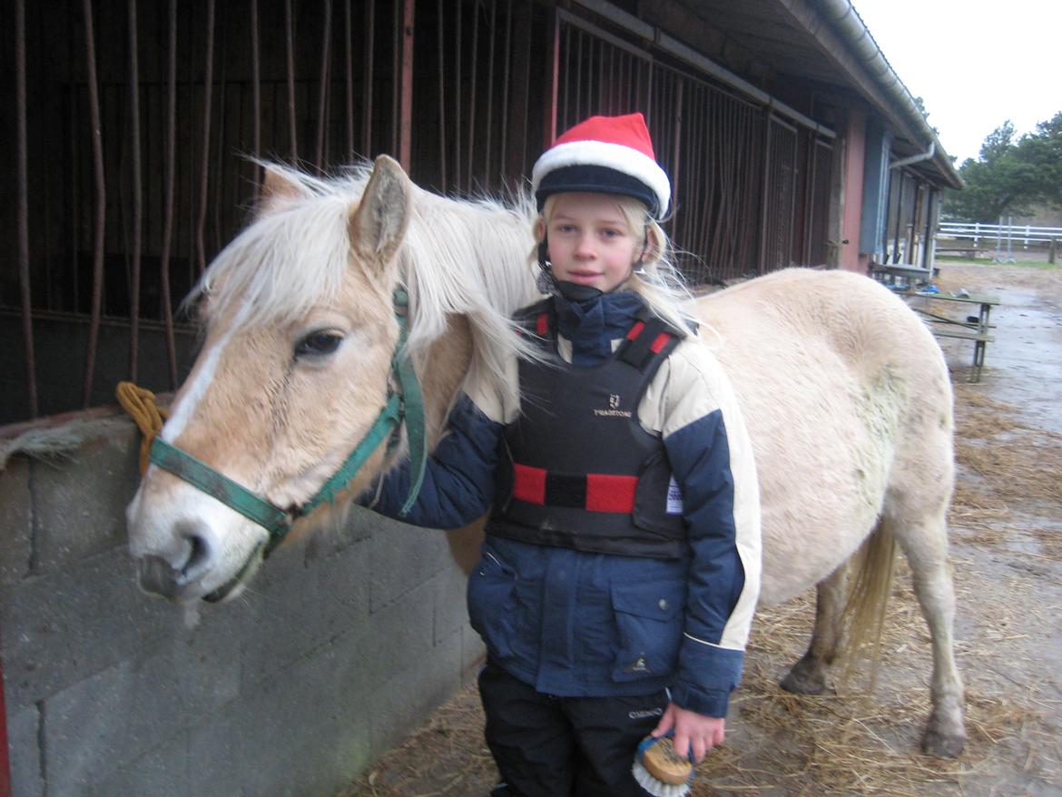 Anden særlig race Pippi billede 14