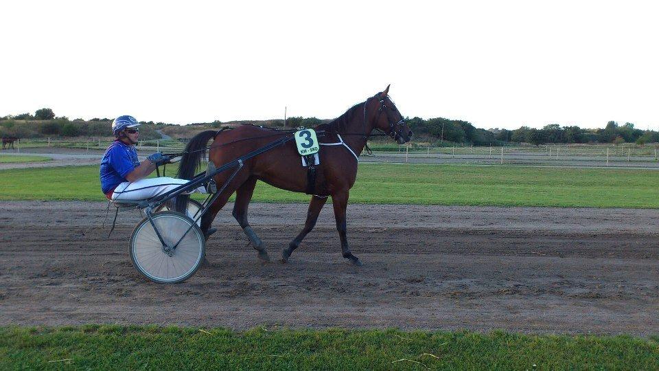 Traver Jobi Hill billede 2