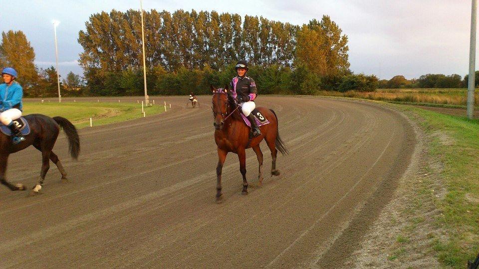 Traver Jobi Hill billede 4