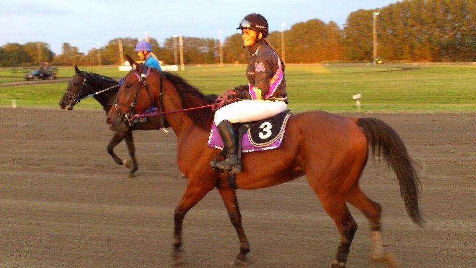 Traver Jobi Hill billede 5