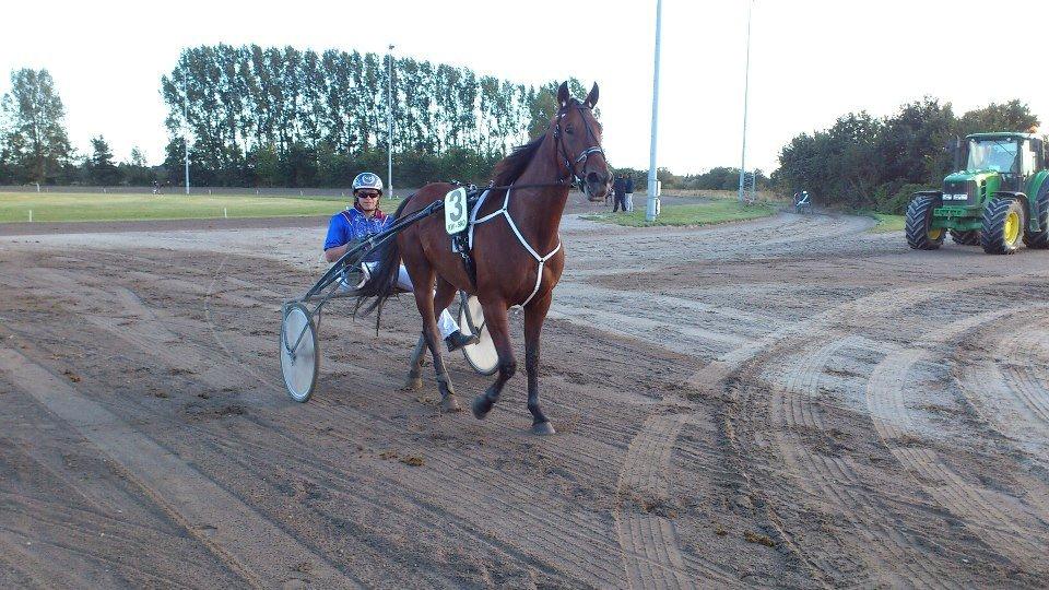 Traver Jobi Hill billede 6