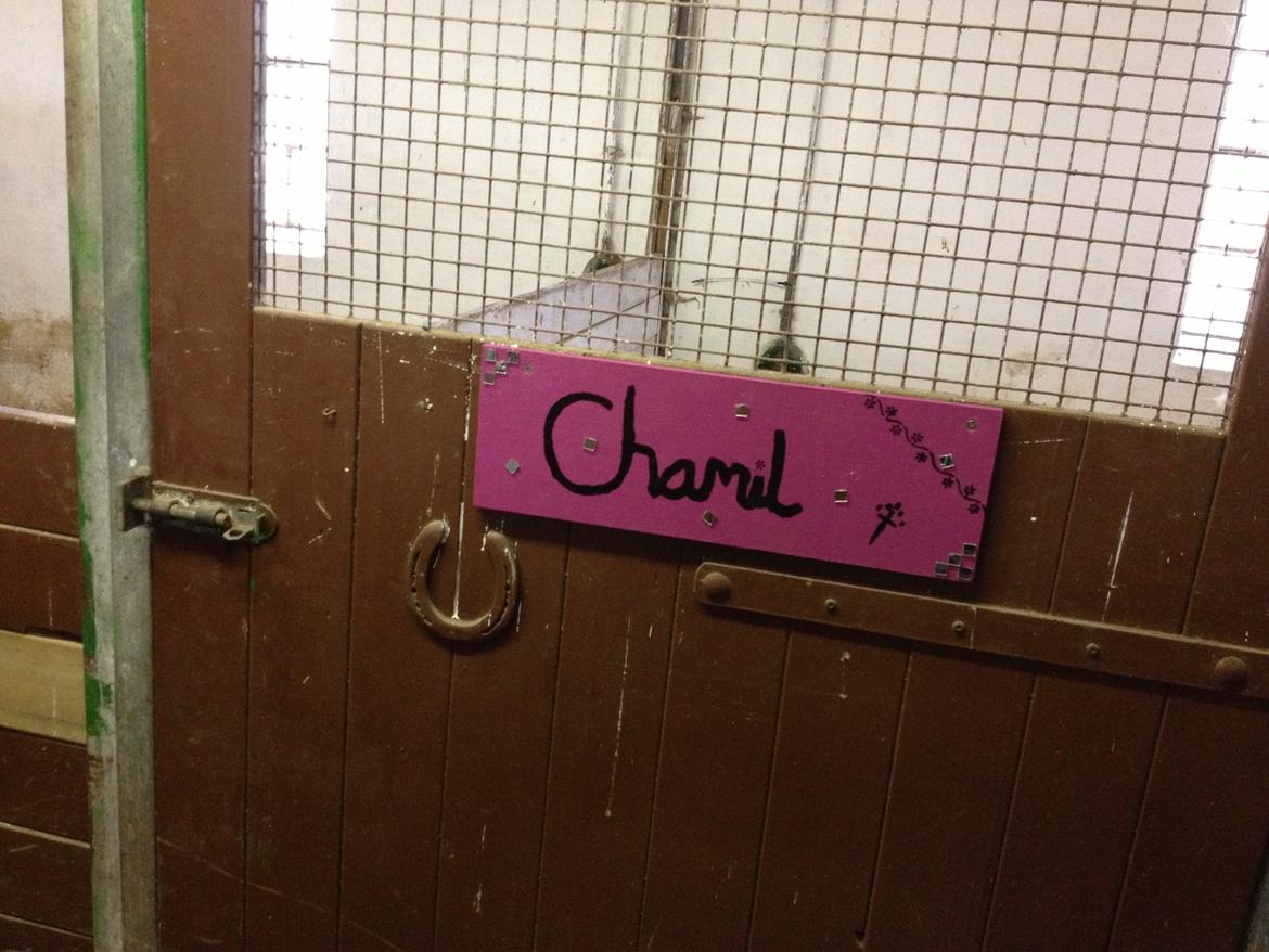 Shetlænder Chamil - Chamil's boks skilt  billede 20