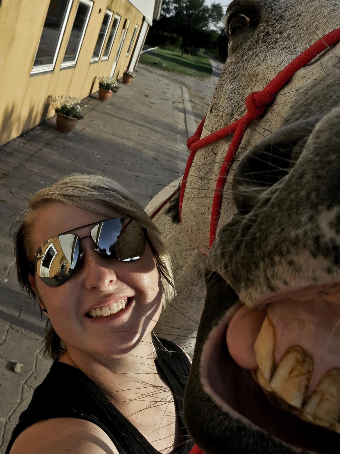 Anden særlig race Marie After Eight - Sommer 12'  billede 8