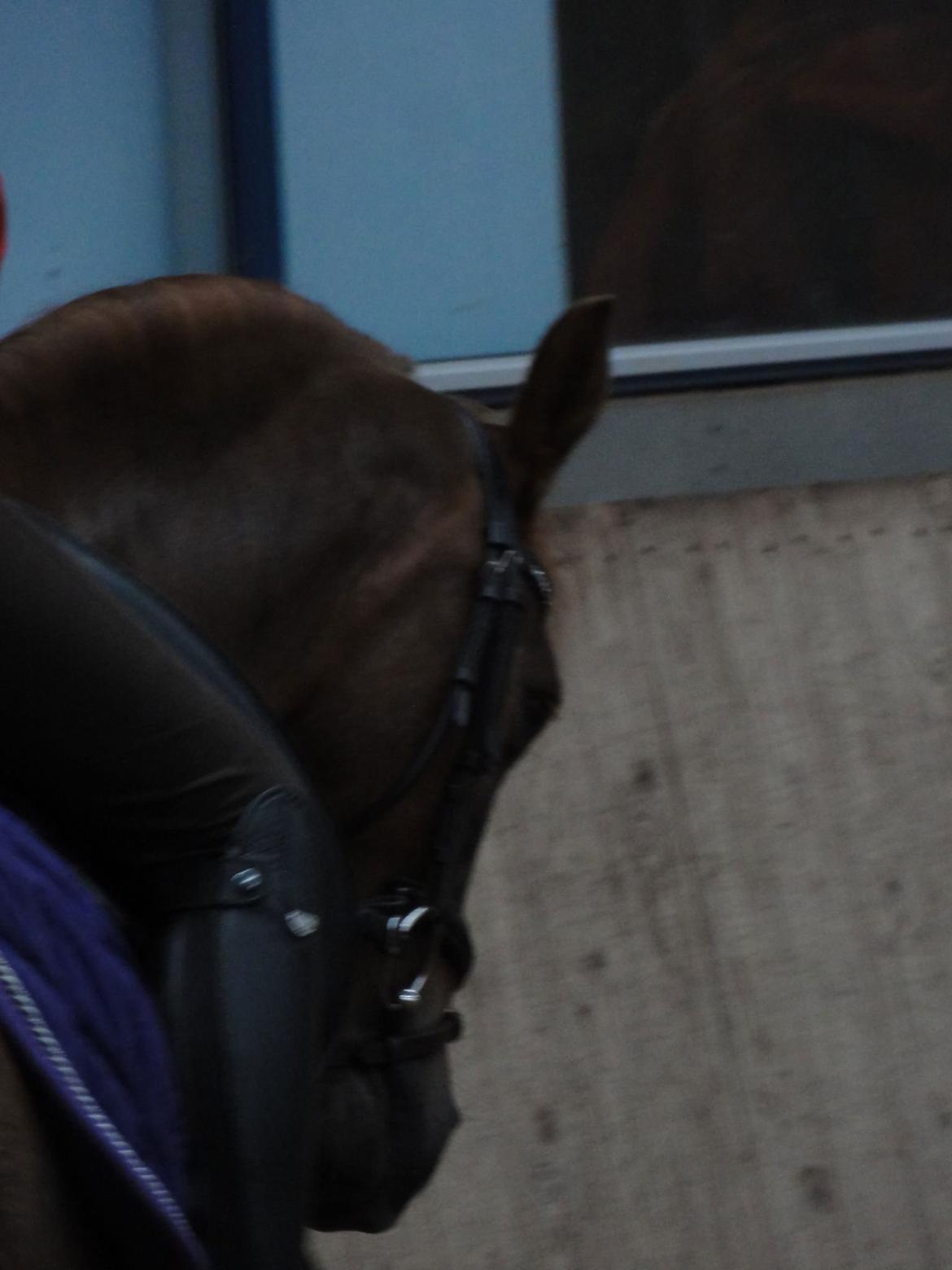 DSP ROSENKILDES MARQUIS - Tak fordi i så med:-) billede 20