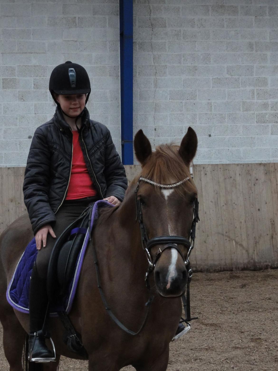 DSP ROSENKILDES MARQUIS - Jeg elsker dig!<3 billede 6