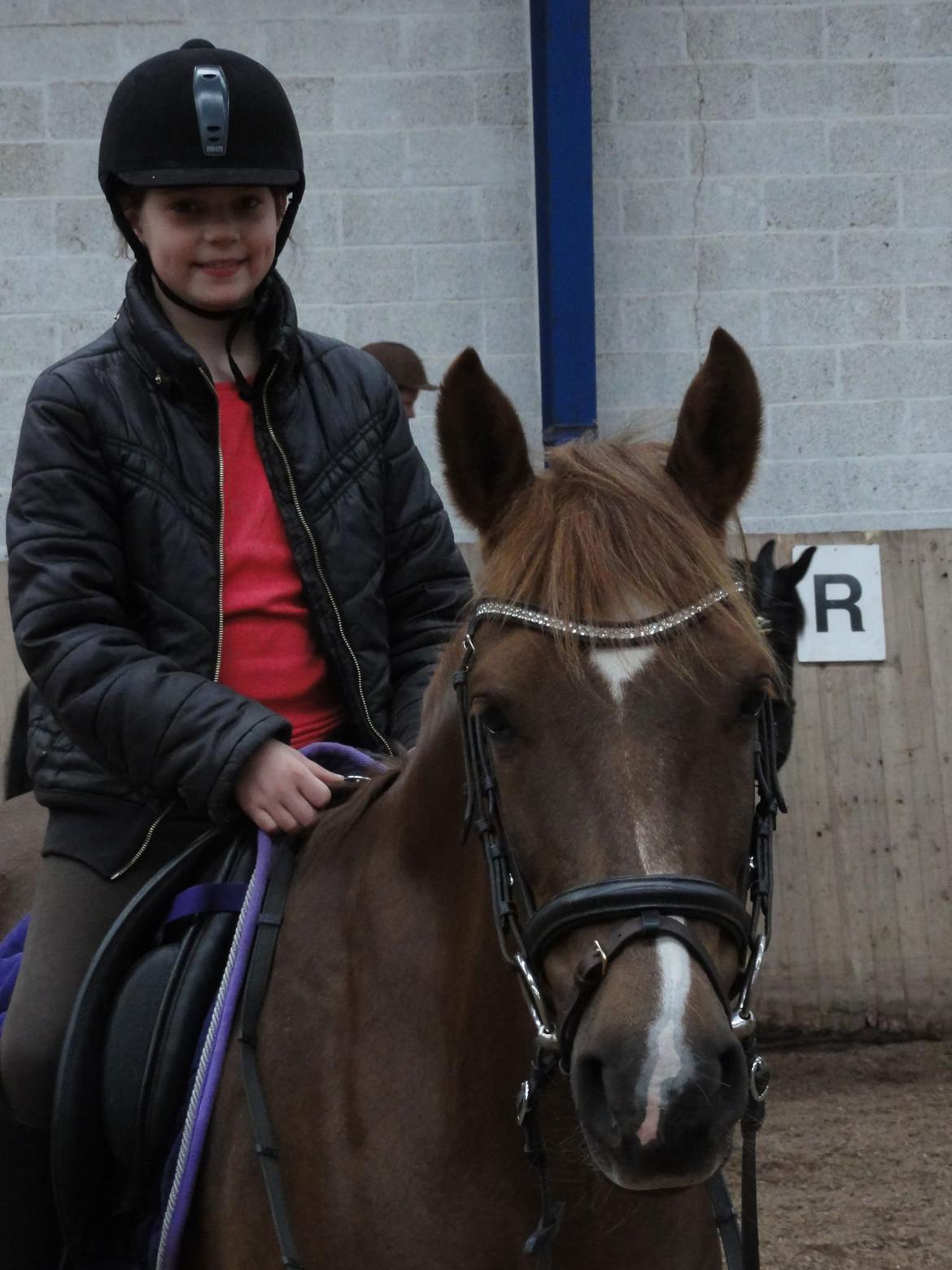 DSP ROSENKILDES MARQUIS - Mulle du er så skøn!<3 billede 2