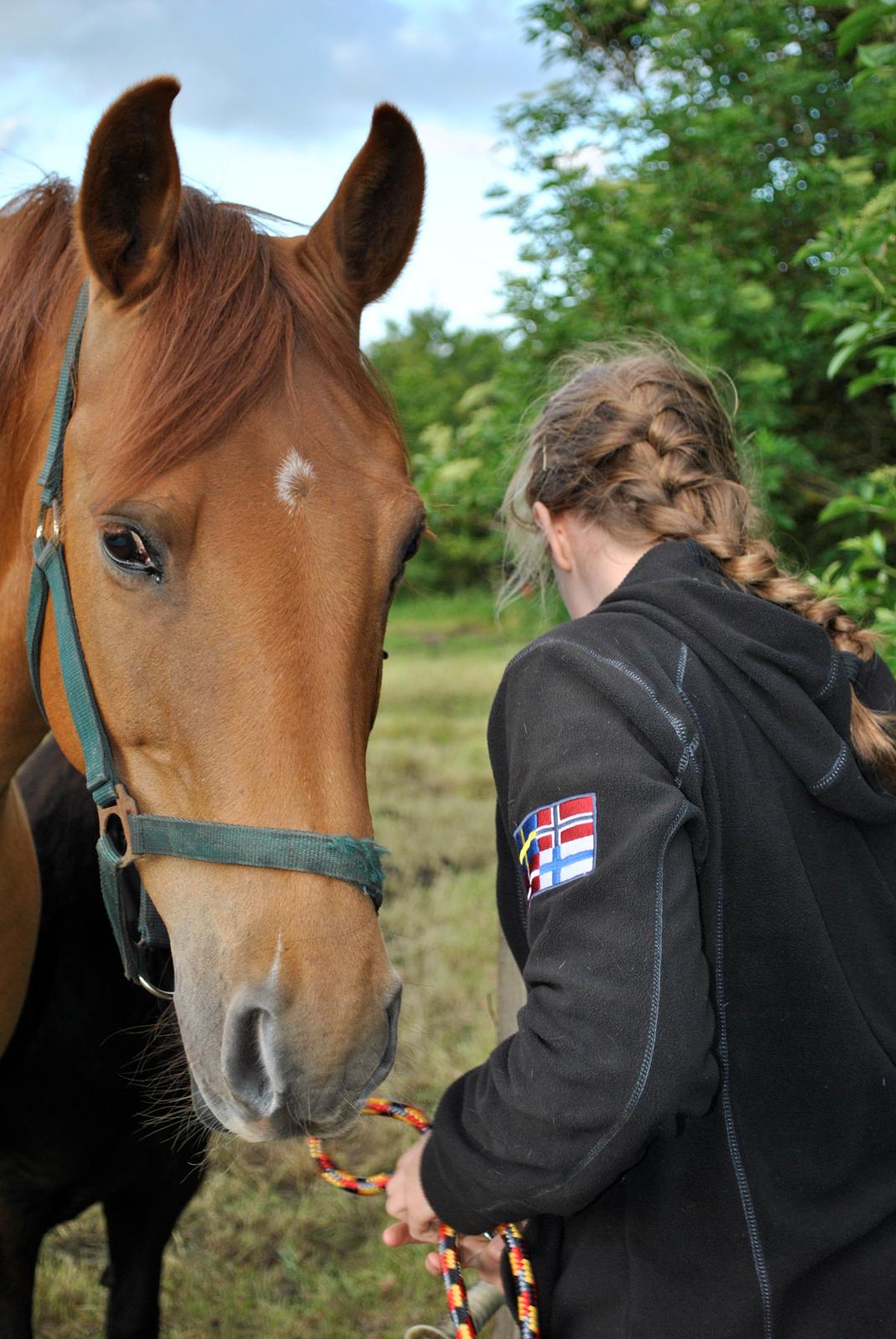 Anden særlig race Zoya billede 18