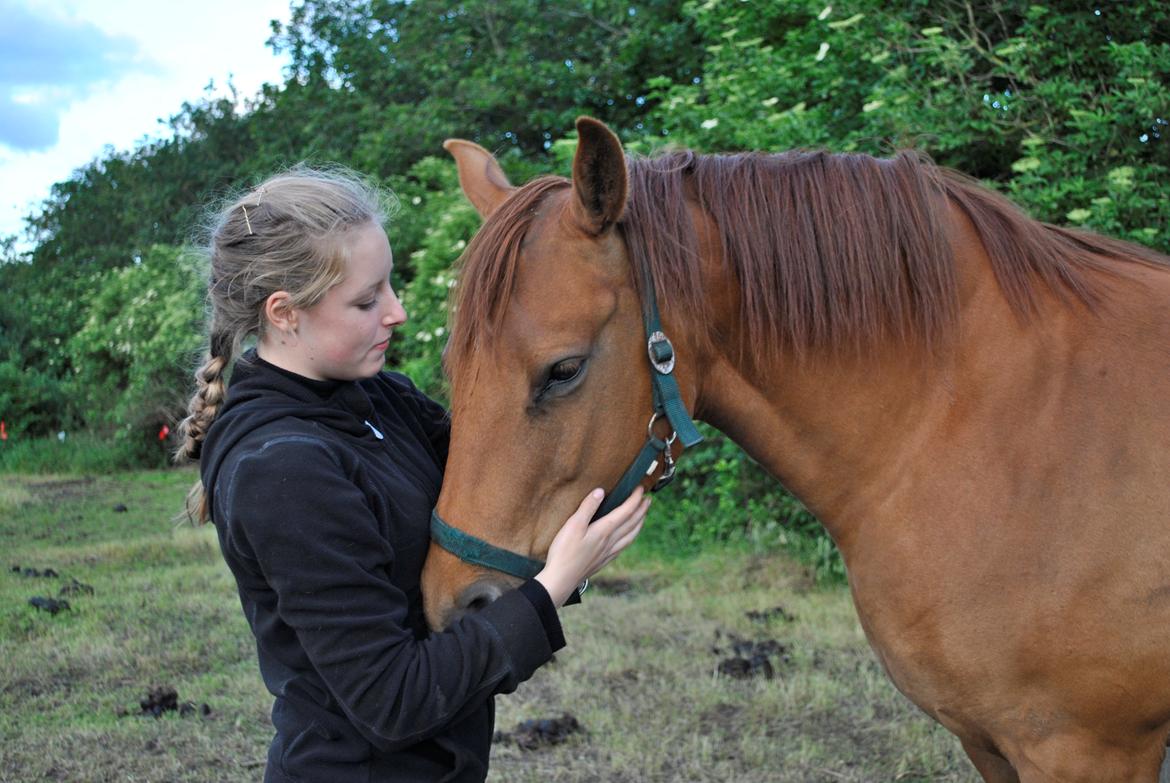 Anden særlig race Zoya - Måske er du tyk, men så er der bare mere at elske... <3 billede 19