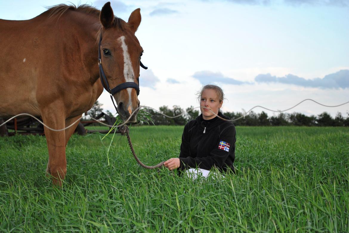 Anden særlig race Amare - Jeg kan slet ikke beskrive hvilken følelse jeg havde, da dette billede blev taget. Men det indvolverer nok noget med kærlighed og lykke.. billede 11