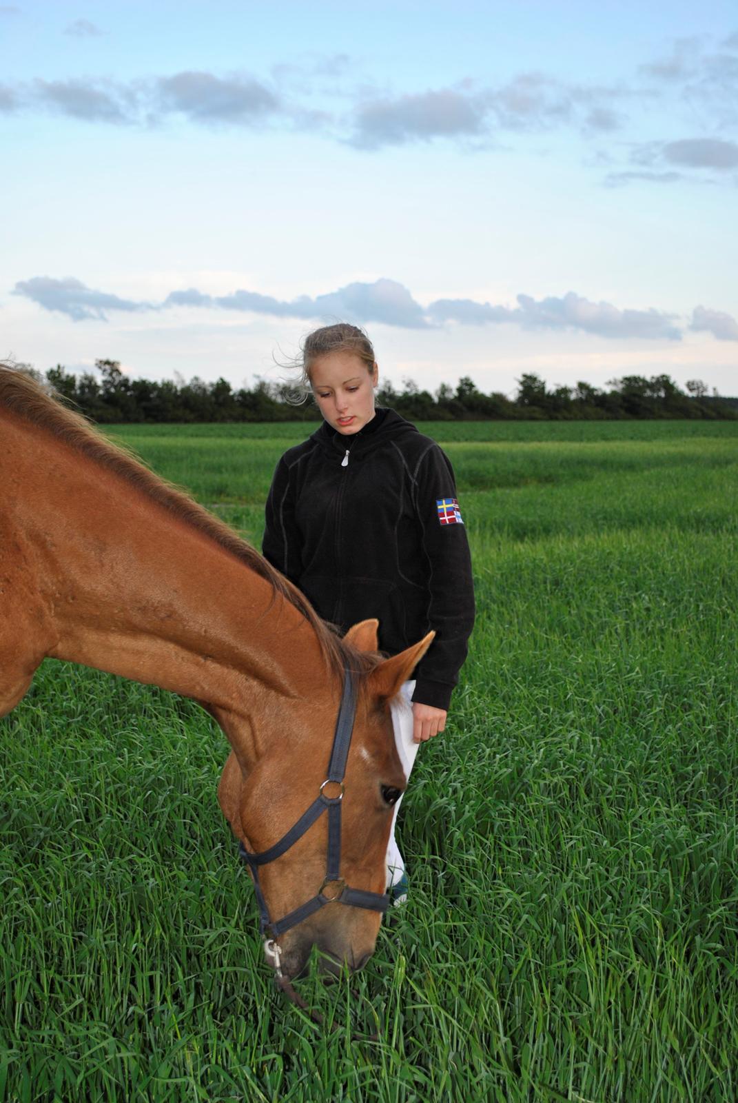 Anden særlig race Amare billede 13
