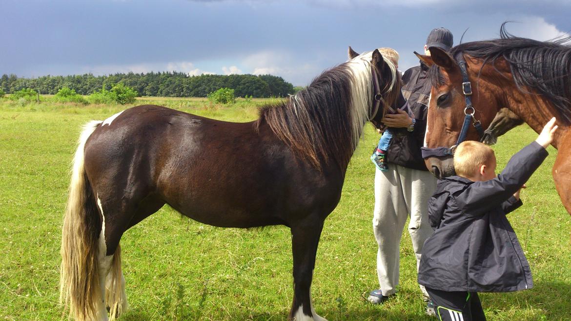 Tinker "Lunte" Kijofregs Arizona billede 9