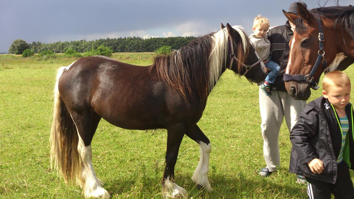 Tinker "Lunte" Kijofregs Arizona billede 10