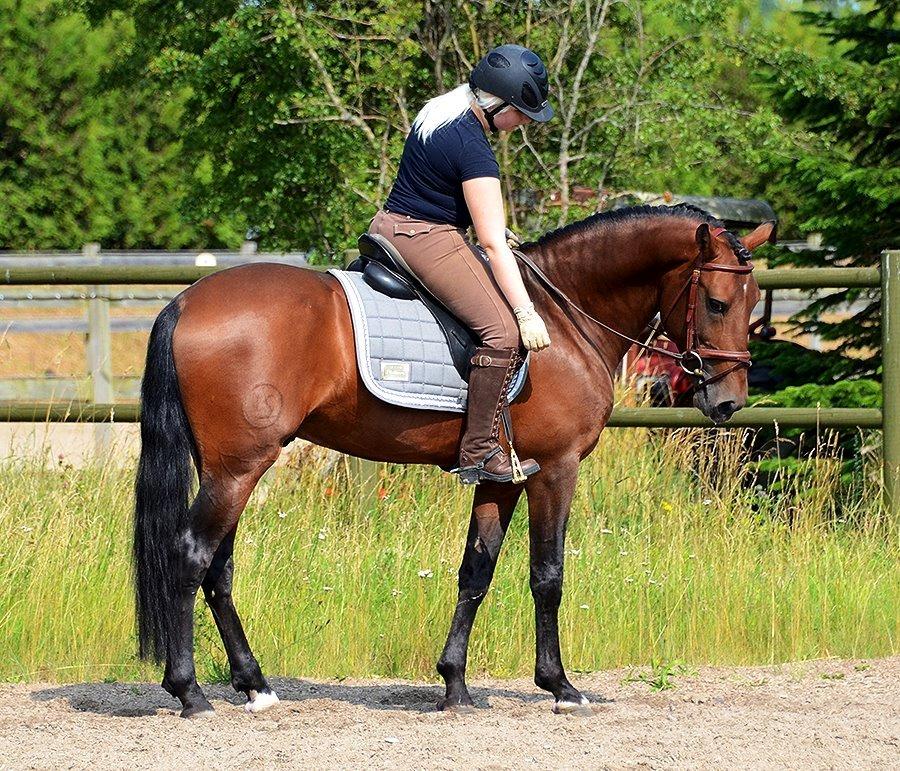 Lusitano Café billede 5