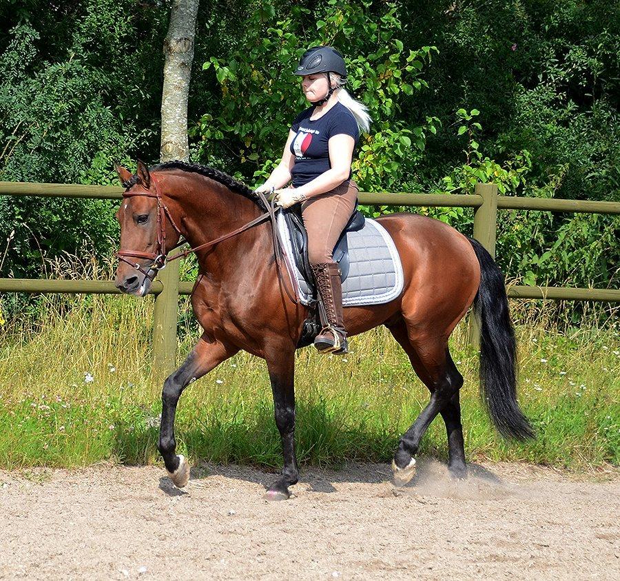 Lusitano Café billede 9