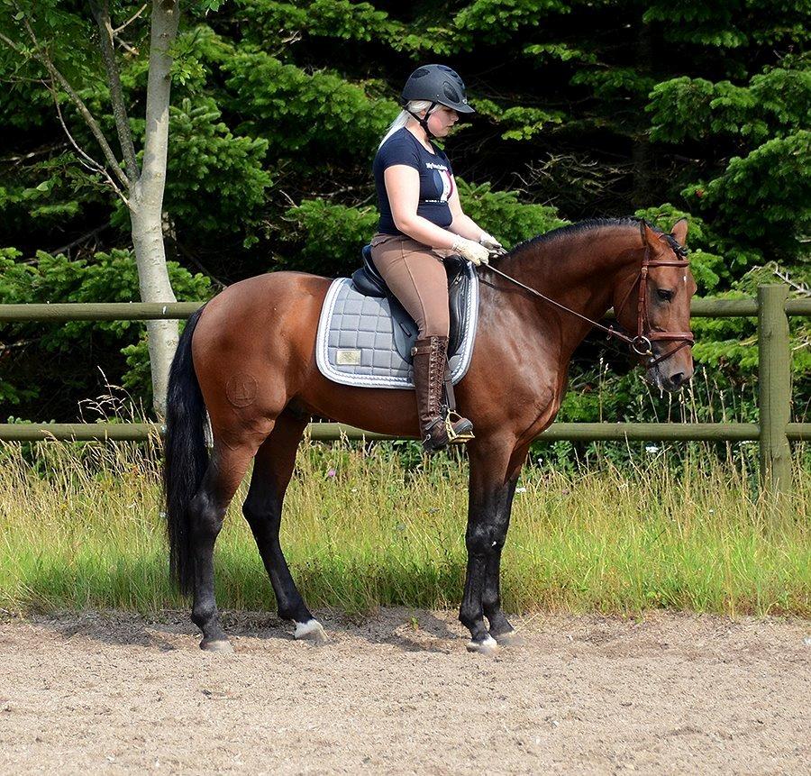 Lusitano Café billede 15