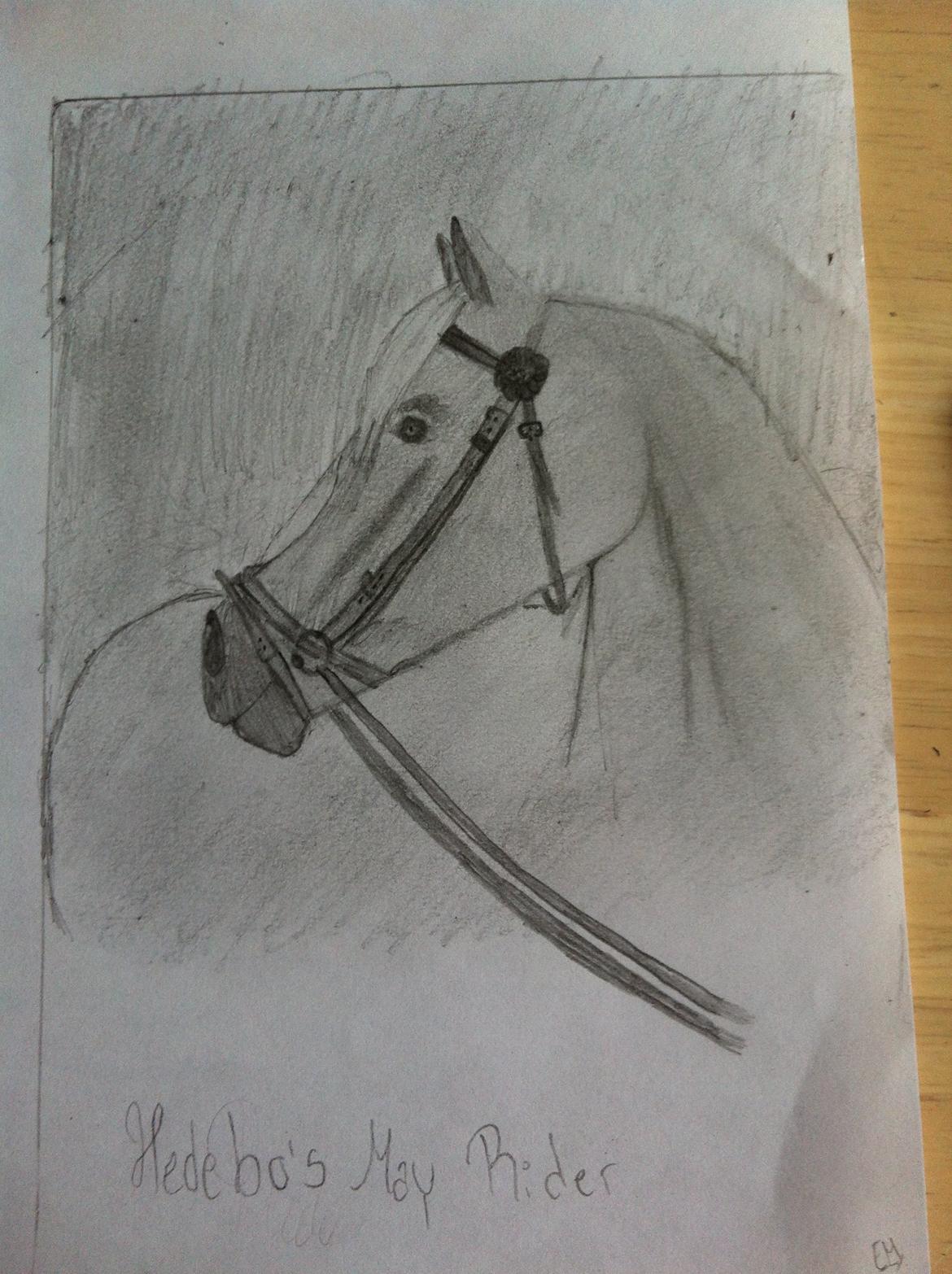 Anden særlig race Hedebo's May Rider *Aflivet* - Billede jeg har tegnet af May til hendes boks! :)♥ er faktisk stolt over den :)
 billede 15