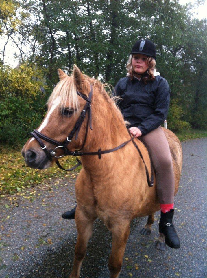 Anden særlig race Hedebo's May Rider *Aflivet* - på tur uden sadel :)♥ billede 17