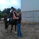 Dansk Varmblod elonias amazing donna. billede 9