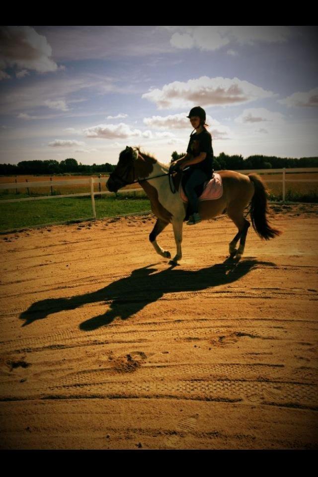 Anden særlig race • Amigo billede 15