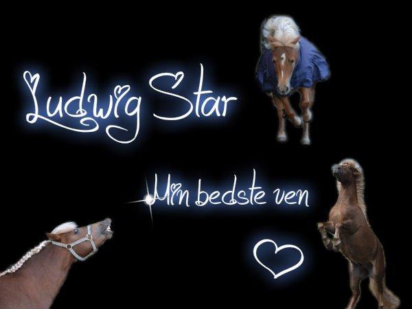 Anden særlig race Ludwig Star - 1) Du er min bedste ven.. <3 billede 1