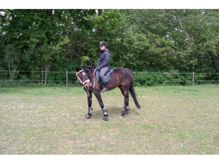 {{currentPhoto.altText}} billede {{currentPhoto.number}}