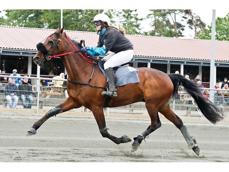 {{currentPhoto.altText}} billede {{currentPhoto.number}}