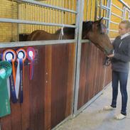 Anden særlig race Pasia