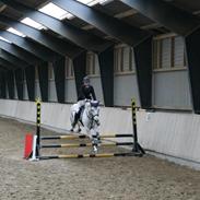 Anden særlig race Spunk <3