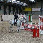 Anden særlig race Spunk <3