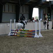 Anden særlig race Spunk <3