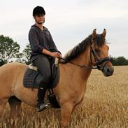 Anden særlig race Cocio<3