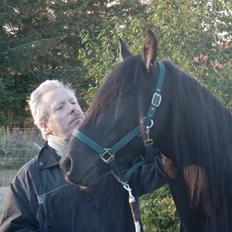 Pura Raza Española YC Bizarro