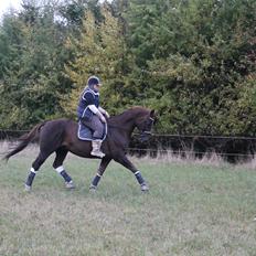 Hannoveraner Wikinger ;)