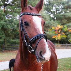 Frederiksborg Østervangs Fleur De Lis