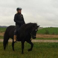 Islænder Rakel fra Vatnsleysu*solgt