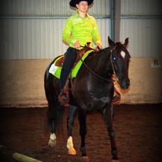 Quarter San Par Vision