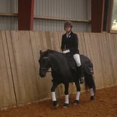 Anden særlig race Prins Valentin (passede/red)