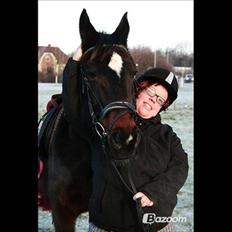 Anden særlig race cazandra