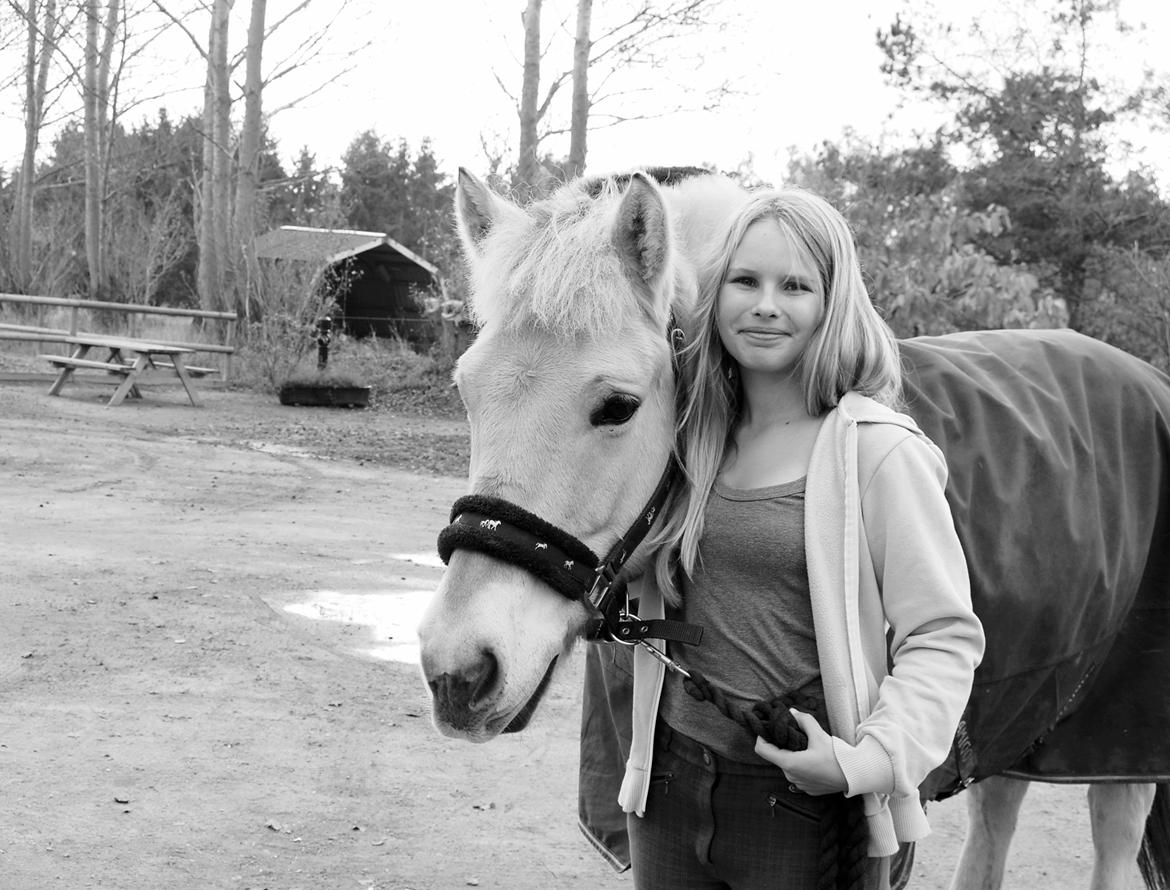 Fjordhest Prins - „Det du leger ind i hesten, vil den frivilligt gøre igen. Det du tvinger ind i den, skal du tvinge den til at gøre igen.“ billede 19